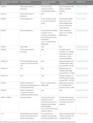 The balance between antibiotic resistance and fitness/virulence in Pseudomonas aeruginosa: an update on basic knowledge and fundamental research